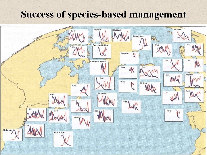 Success of species-based management 