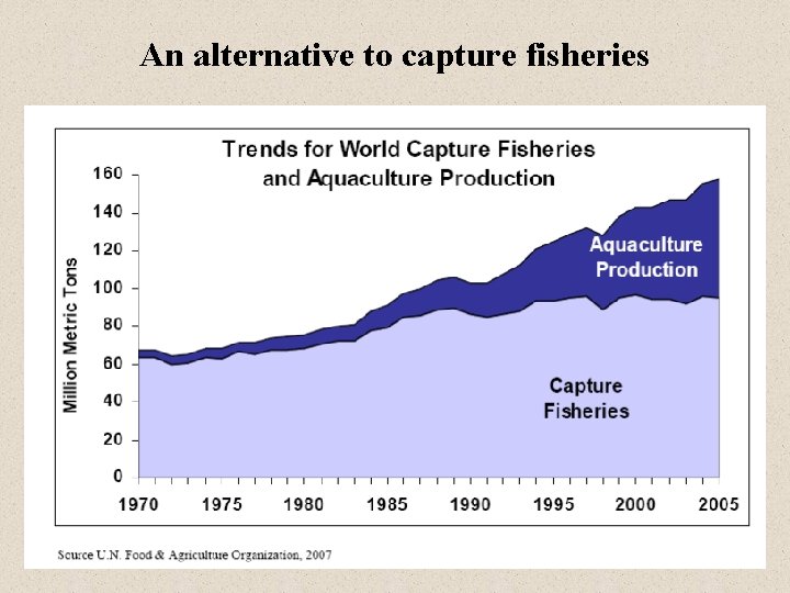 An alternative to capture fisheries 