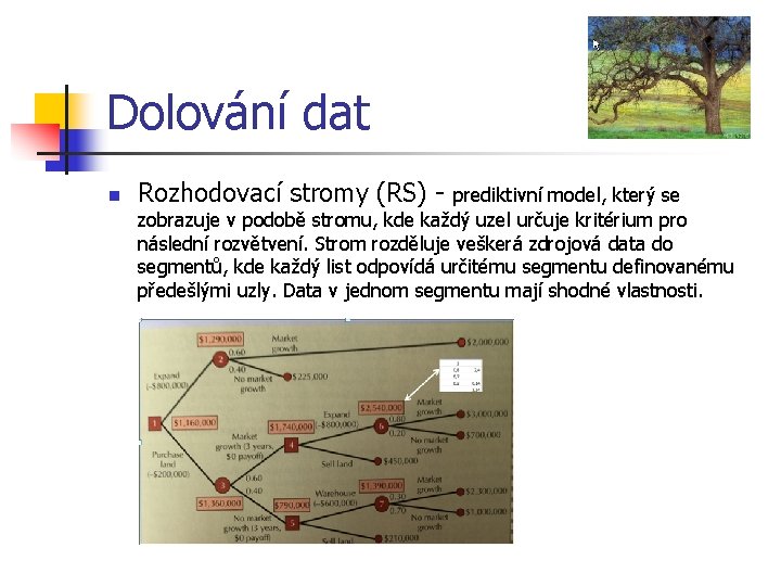 Dolování dat n Rozhodovací stromy (RS) - prediktivní model, který se zobrazuje v podobě