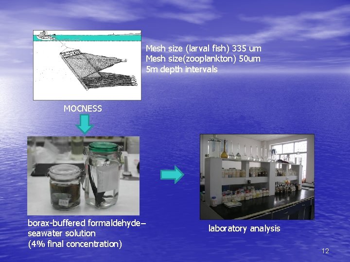 Mesh size (larval fish) 335 um Mesh size(zooplankton) 50 um 5 m depth intervals