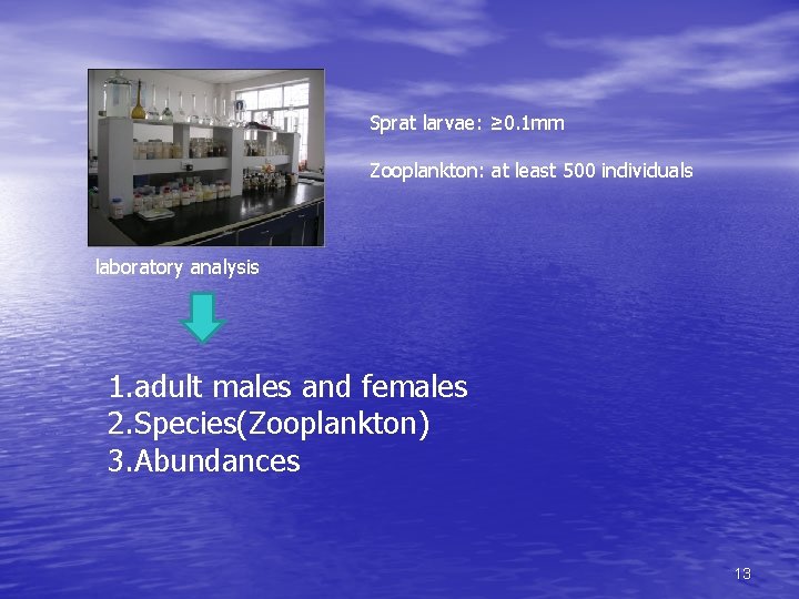 Sprat larvae: ≥ 0. 1 mm Zooplankton: at least 500 individuals laboratory analysis 1.
