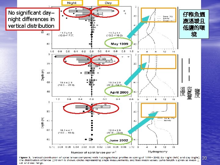 No significant day– night differences in vertical distribution 仔稚魚適 應溫暖且 低鹽的環 境 溫容 鹽