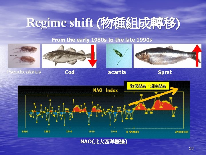 Regime shift (物種組成轉移) From the early 1980 s to the late 1990 s Pseudocalanus
