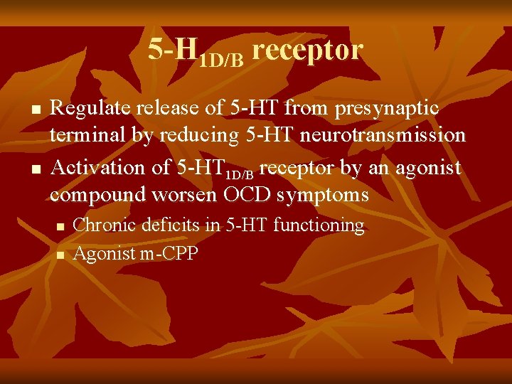 5 -H 1 D/B receptor n n Regulate release of 5 -HT from presynaptic