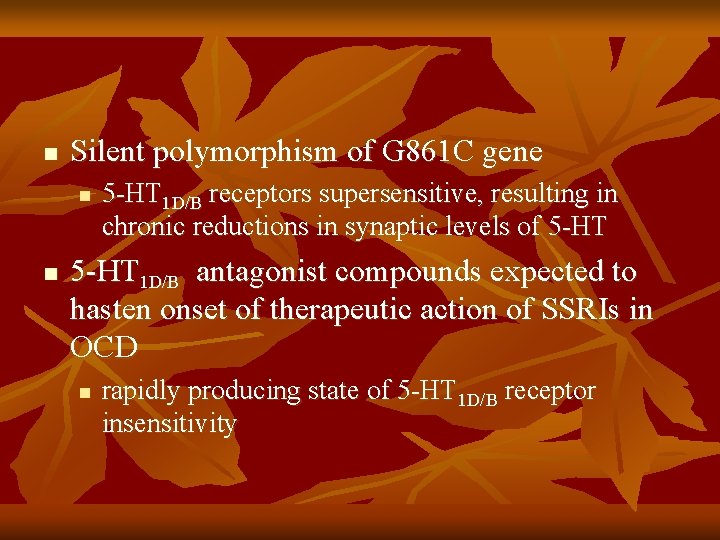 n Silent polymorphism of G 861 C gene n n 5 -HT 1 D/B