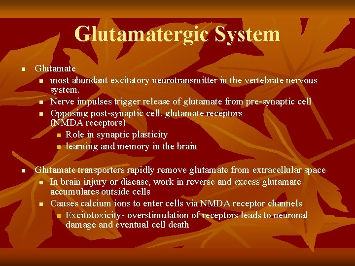 Glutamatergic System n n Glutamate n most abundant excitatory neurotransmitter in the vertebrate nervous