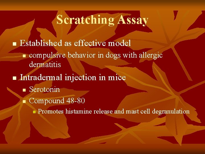 Scratching Assay n Established as effective model n n compulsive behavior in dogs with