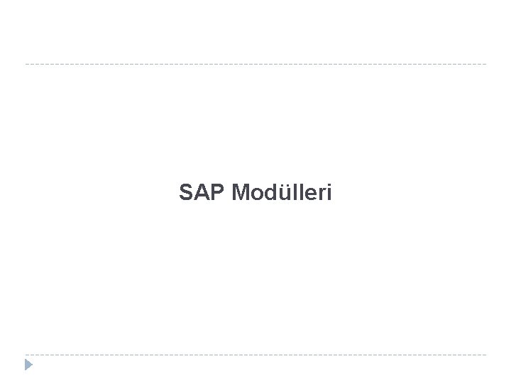 SAP Modülleri 