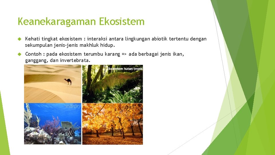 Keanekaragaman Ekosistem Kehati tingkat ekosistem : interaksi antara lingkungan abiotik tertentu dengan sekumpulan jenis-jenis
