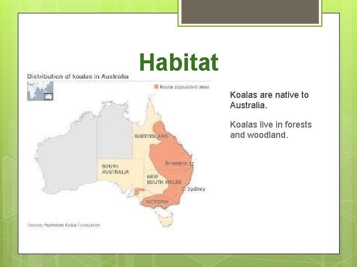 Habitat Koalas are native to Australia. Koalas live in forests and woodland. 