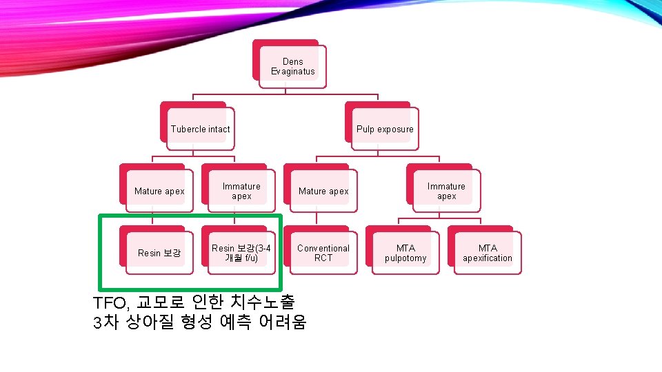 Dens Evaginatus Tubercle intact Pulp exposure Mature apex Immature apex Mature apex Resin 보강(3