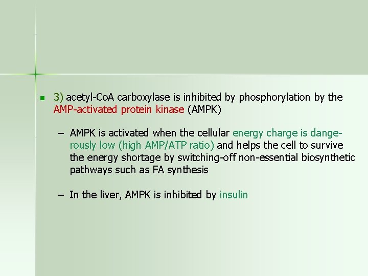 n 3) acetyl-Co. A carboxylase is inhibited by phosphorylation by the AMP-activated protein kinase