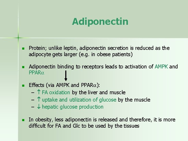 Adiponectin n Protein; unlike leptin, adiponectin secretion is reduced as the adipocyte gets larger