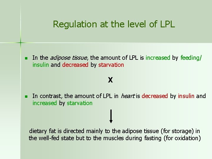 Regulation at the level of LPL n In the adipose tissue, the amount of