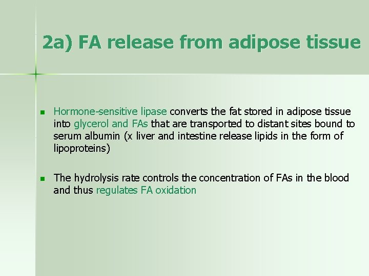 2 a) FA release from adipose tissue n Hormone-sensitive lipase converts the fat stored