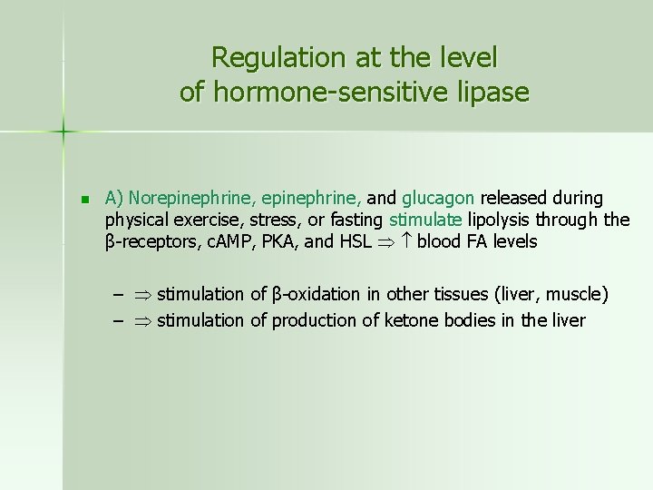 Regulation at the level of hormone-sensitive lipase n A) Norepinephrine, and glucagon released during