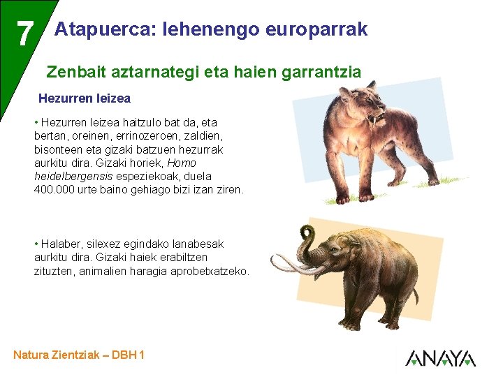 UNIDAD 7 3 Atapuerca: lehenengo europarrak Zenbait aztarnategi eta haien garrantzia Hezurren leizea •