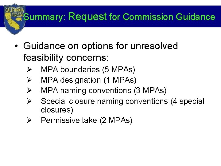 Summary: Request for Commission Guidance • Guidance on options for unresolved feasibility concerns: Ø