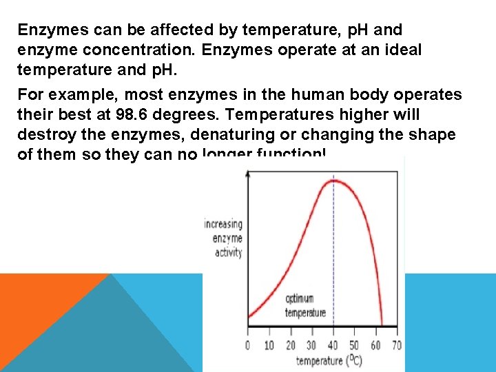 Enzymes can be affected by temperature, p. H and enzyme concentration. Enzymes operate at
