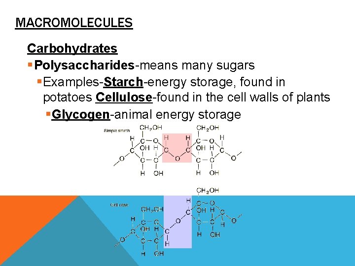 UNIT BIOCHEMISTRY WHAT ARE THE STRUCTURES AND FUNCTIONS