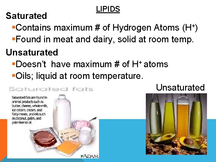 LIPIDS Saturated §Contains maximum # of Hydrogen Atoms (H+) §Found in meat and dairy,