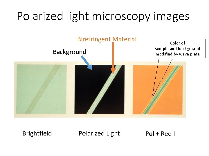 Polarized light microscopy images Birefringent Material Background Brightfield Polarized Light Color of sample and