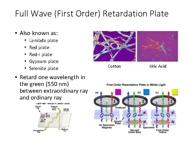 Full Wave (First Order) Retardation Plate • Also known as: • • • Lambda