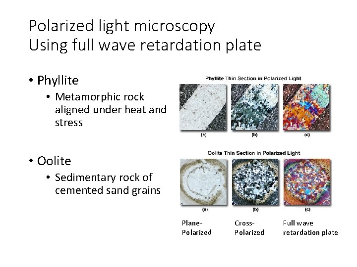 Polarized light microscopy Using full wave retardation plate • Phyllite • Metamorphic rock aligned