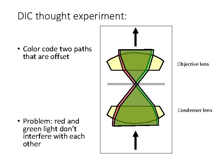 DIC thought experiment: • Color code two paths that are offset Objective lens Condenser