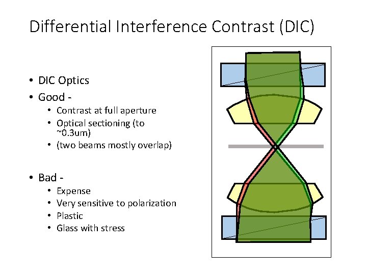 Differential Interference Contrast (DIC) • DIC Optics • Good - • Contrast at full