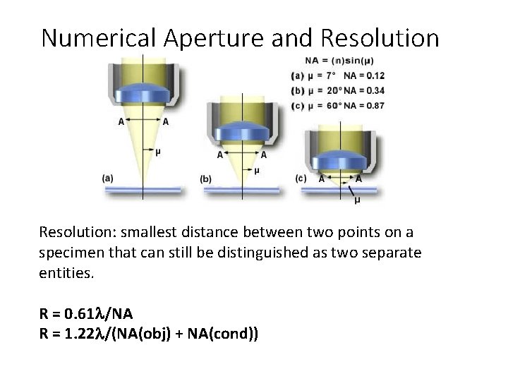 Numerical Aperture and Resolution: smallest distance between two points on a specimen that can