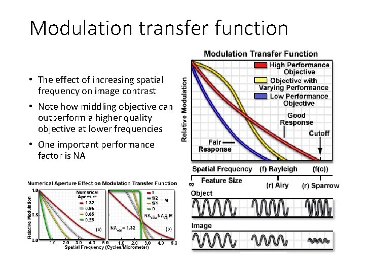 Modulation transfer function • The effect of increasing spatial frequency on image contrast •