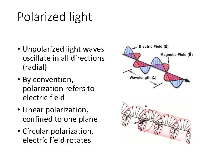 Polarized light • Unpolarized light waves oscillate in all directions (radial) • By convention,