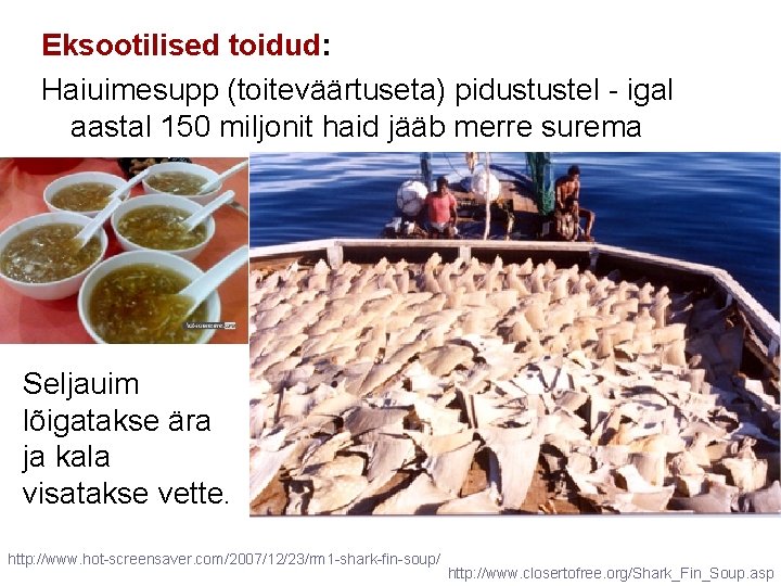 Eksootilised toidud: Haiuimesupp (toiteväärtuseta) pidustustel - igal aastal 150 miljonit haid jääb merre surema