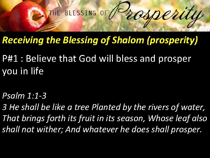 Receiving the Blessing of Shalom (prosperity) P#1 : Believe that God will bless and