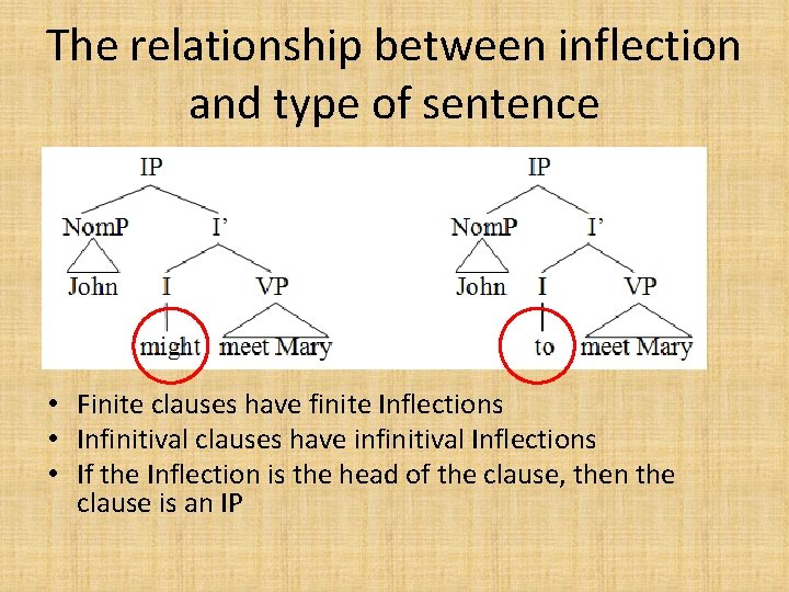 The relationship between inflection and type of sentence • Finite clauses have finite Inflections