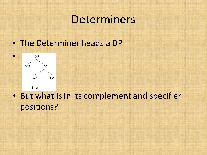 Determiners • The Determiner heads a DP • • But what is in its