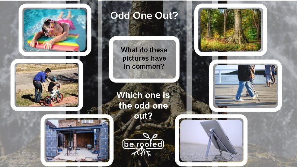 Odd One Out? What do these pictures have in common? Which one is the