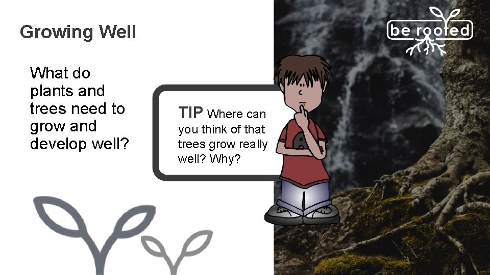 Growing Well What do plants and trees need to grow and develop well? TIP