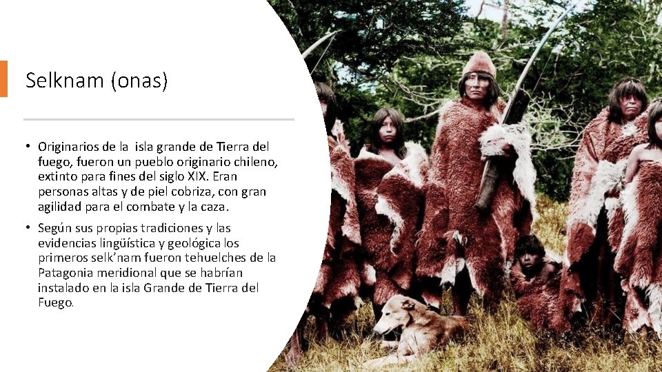 Selknam (onas) • Originarios de la isla grande de Tierra del fuego, fueron un