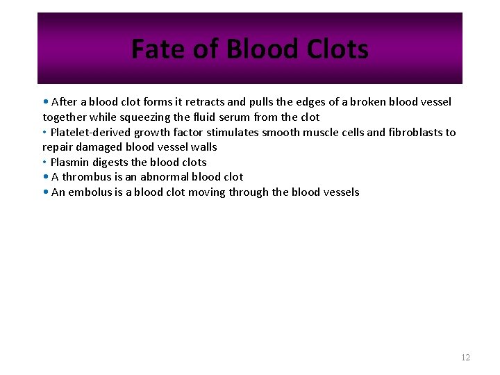 Fate of Blood Clots • After a blood clot forms it retracts and pulls