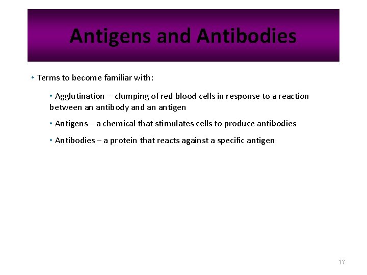 Antigens and Antibodies • Terms to become familiar with: • Agglutination – clumping of