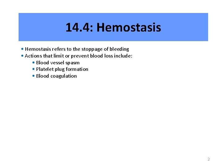 14. 4: Hemostasis • Hemostasis refers to the stoppage of bleeding • Actions that