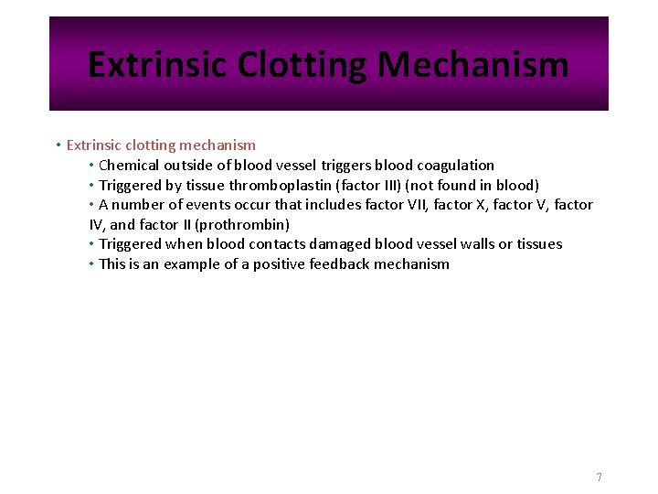 Extrinsic Clotting Mechanism • Extrinsic clotting mechanism • Chemical outside of blood vessel triggers