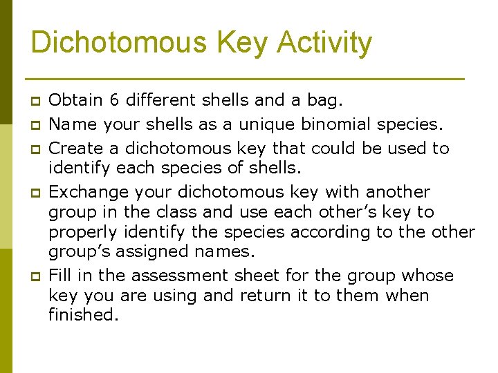 Dichotomous Key Activity p p p Obtain 6 different shells and a bag. Name