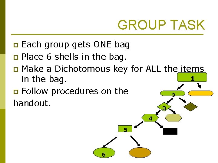 GROUP TASK Each group gets ONE bag p Place 6 shells in the bag.