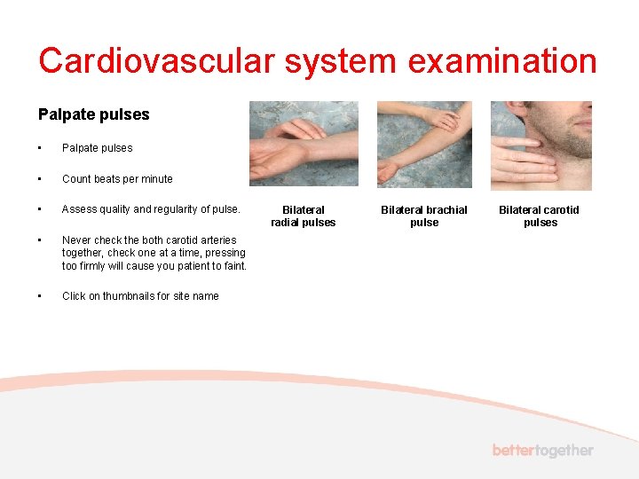 Cardiovascular system examination Palpate pulses • Palpate pulses • Count beats per minute •