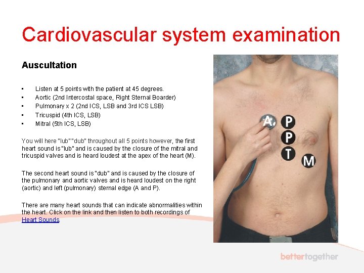 Cardiovascular system examination Auscultation • • • Listen at 5 points with the patient
