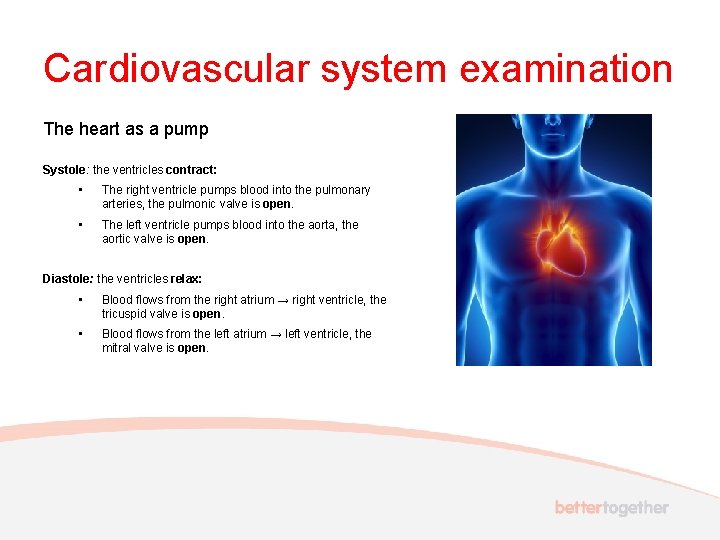 Cardiovascular system examination The heart as a pump Systole: the ventricles contract: • The