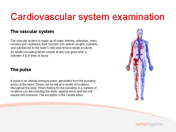 Cardiovascular system examination The vascular system is made up of many arteries, arterioles, veins,